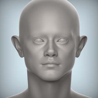 33 3d testa viso femmina carattere adolescente ritratto Bambola bjd low poly modello 3d print model - Mito3D