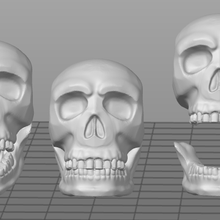 3 skulls 3d print model - Mito3D