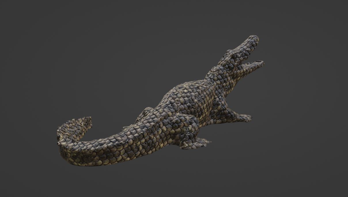 3d alligator 3D print model - Mito3D