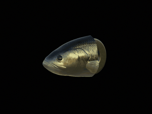 3d fisch kopf bass schlüsselbund anhänger huf bilden fischer zander zander barsch tier wels pike angeln locken köder karpfen forelle 3d print model - Mito3D