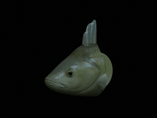 3d fisch kopf barsch schlüsselbund anhänger huf bilden fischer zander zander tier wels pike bass angeln locken köder karpfen forelle 3d print model - Mito3D