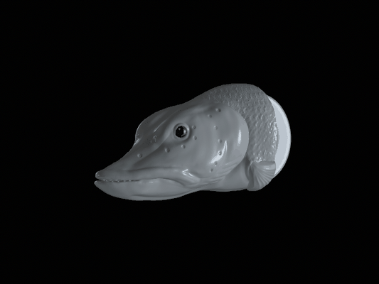 3d fisch kopf pike schlüsselbund anhänger huf bilden fischer zander zander barsch tier wels bass angeln locken köder karpfen forelle 3d print model - Mito3D