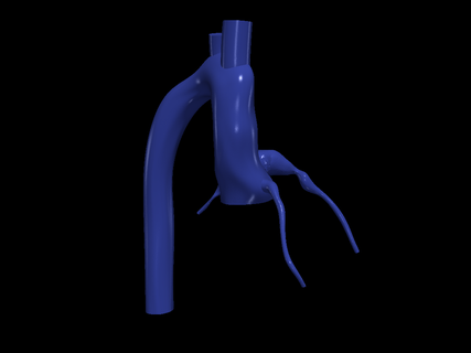 3d model aorta coronary arteries heart cardiovascular cardiac system chambers apical view cardiology aortic arch artery 3d print model - Mito3D