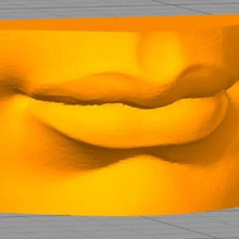 3d model david's lips architecture david michelangelo painter sculptor print printing etalonn separately designer clipping 3d print model - Mito3D