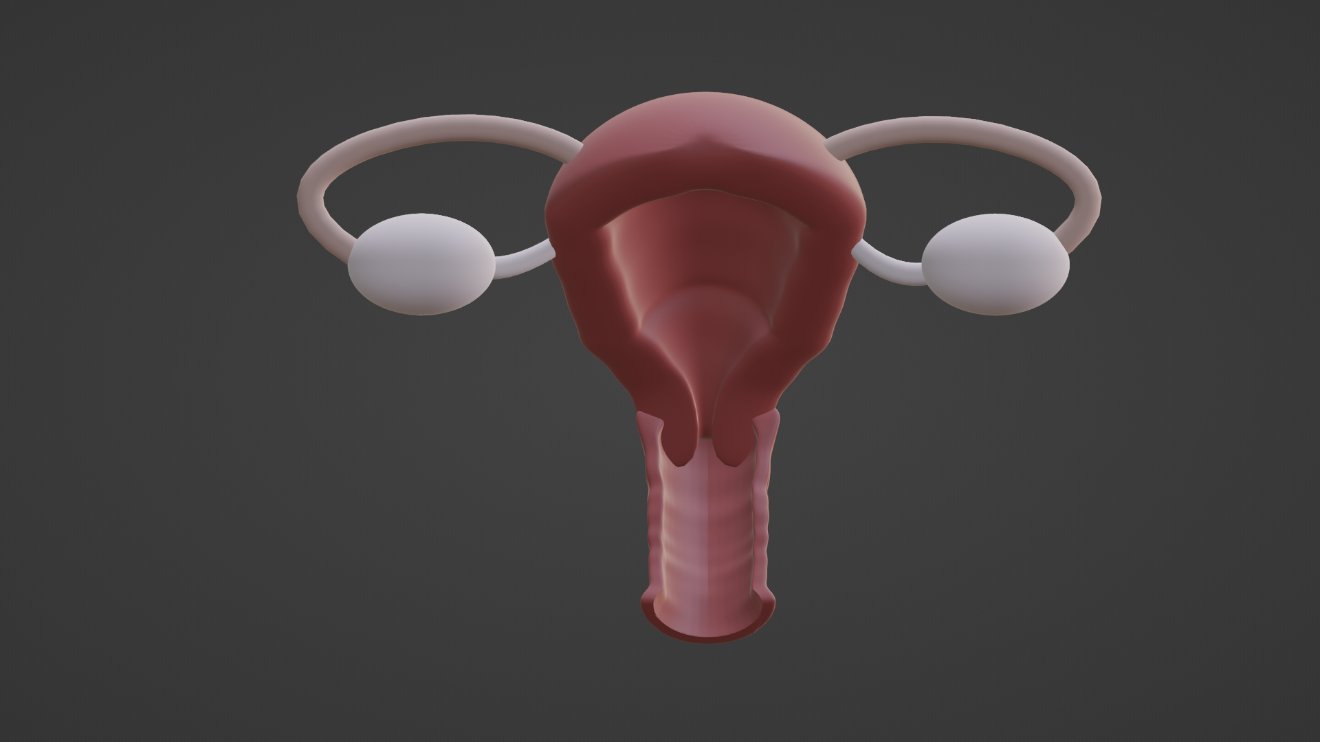 3d Modell weiblich reproduktiv System v2 Reproduktion Medizin Wissenschaft medizinisch Becken Hüfte Kreuzbein Blase Niere Urin 3D print model - Mito3D