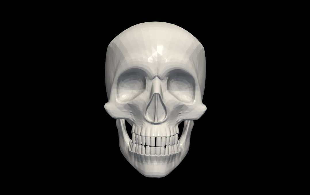 3d model human skull anatomy medicine medical head bone bones lobe 3D print model - Mito3D