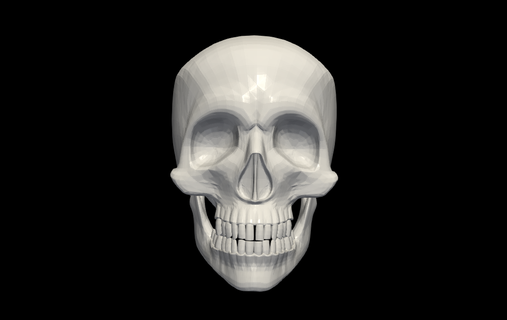 3d model human skull anatomy medicine medical head bone bones lobe 3d print model - Mito3D
