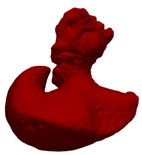 3d Modell links Vorhof Anhängsel generiert Real geduldig Herz kardiovaskulär System Kammern apikal Aussicht Kardiologie laa 3d print model - Mito3D