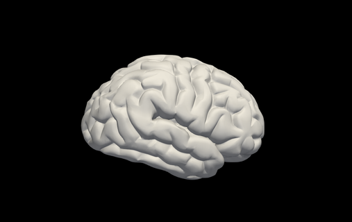 3d modelo esquerda cérebro anatomia humano 3d print model - Mito3D