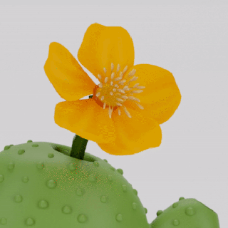 3d modèle stl fichier 3dprintable cactus vase 2 décor intérieur Accueil maison facile fleur mode cadeau présent petit biologique planteur 3d print model - Mito3D