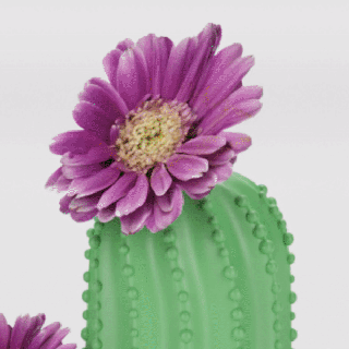 3d model stl file cactus vase decor home interior flower mode gift present small organic planter 3d print model - Mito3D