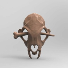 3d modello stl tornante cranio primordiale stile 3d print model - Mito3D
