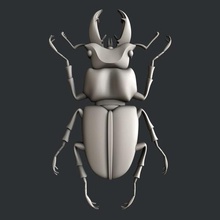 3d models bug art 3dmodels printer insects magic artcam aspire vcarve 3d print model - Mito3D