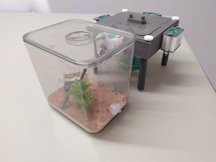 3d mushroom anthill ants formicarium pets 3d print model - Mito3D
