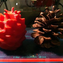 123d pinecone art sculptures tree nuts squirrel scan pine cone catch 123dcatch 3d print model - Mito3D