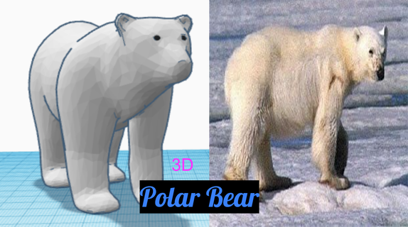 3d polar Urso fofa 0 3d print model - Mito3D