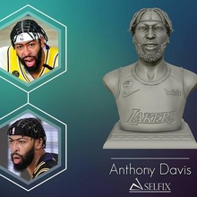 3d Vesika Anthony Davis finaller Yazdır model Basketbol nba 3dmodel 3dprint Lakers Losangeles sepet spor takım Sanat heykeller 3d print model - Mito3D
