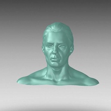 Impression 3d stl fichier de démonstration la tête art numérique haute qualité symboles fins des médicales les figurines 3d print model - Mito3D