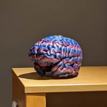 3d print your brain art printed easy freesurfer free software sculptures 3d print model - Mito3D