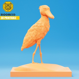 3d printable shoebill bird nature animal wing duck seagull toucan canary sky flamingo miniatures figurines 3d print model - Mito3D