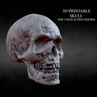 3d printable skull 7 inch figures 20mm predator spawn toy hell gothic anatomy collectible actionfigure horror halloween evil fear pirate scary spooky skeleton monster reaper yautja 3d print model - Mito3D