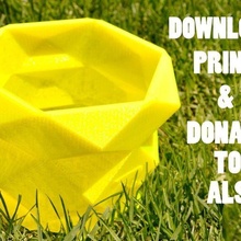 3d printed ice bucket challenge als association polygon outdoor_garden 3d print model - Mito3D
