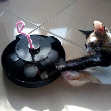 3d basılı etkileşimli kedi oyuncak tutmak eğirme Evcil Hayvanlar 3d print model - Mito3D