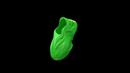 3d printed shoe pannzzifoam 3dshoe footwear sneaker 3d print model - Mito3D