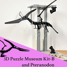 3d puzzle Museo kit b pteranodonte 3d print model - Mito3D