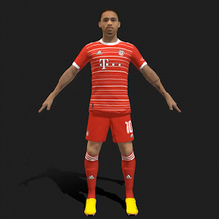 3d manipulado leroy Bayern Munique 2023 futebol jogador personagem modelo homem animação 3d print model - Mito3D