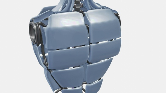 3d Roboter Exoskelett Robotik Ingenieurwesen Innovation Flexibilität Symbiose Rückgrat Mobilität Meister Zukunft Gelegenheit Revolution Technologie 3d print model - Mito3D