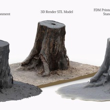 3d scanned tree stump tabletop scatter terrain scan scatter_terrain tabletop_terrain 3d print model - Mito3D
