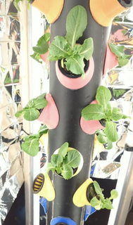 4 hidropônico adaptadores crescer hidroponia interior jardinagem 3d print model - Mito3D