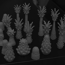 50 palms various trees 3d print model - Mito3D