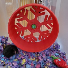 8 x 3 criceto roditore ruota casa di ratto la gli animali domestici 3d print model - Mito3D