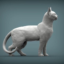 abissino gatto 3d Stampa modello fama animale mammifero selvaggio domestico gattino natura scultura statuetta souvenir presente arte sculture 3d print model - Mito3D