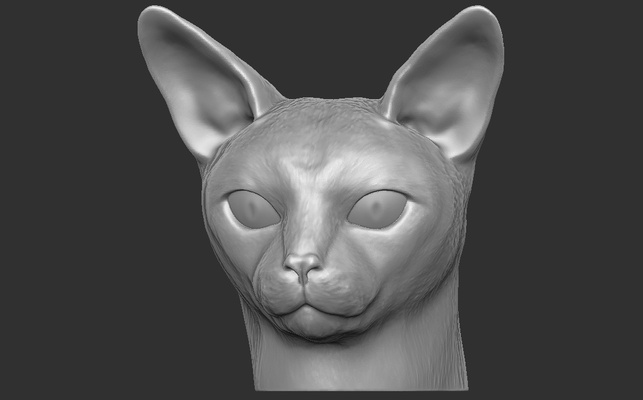 habeş kedi baş 3d baskı bengal maine rakun farsça bez bebek rusça mavi siyam devon rex acayip kısa saç ingiliz hayvan köpek yerli doğurmak avrupalı 3d print model - Mito3D