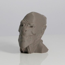 achfos alien creature head outer space art 3d print model - Mito3D