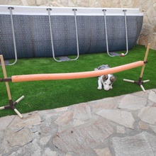 adjustable dog agility jump salto ajustable para perros various animal perro entrenamiento training toy jueguete 3d print model - Mito3D