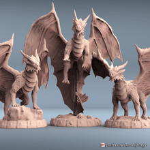 adult copper dragon d&d inspired miniature set art miniatures dnd dungeonsanddragons monster dragons resin tabletopgames 3d print model - Mito3D