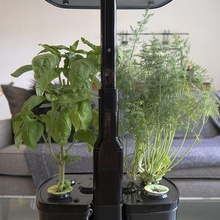 aerogarden extension indoor garden plant planter household 3d print model - Mito3D