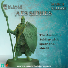 aes sidhe soldier spear shield