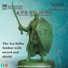 aes sidhe soldier sword shield