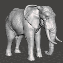 africano elefante figura modello animale creatura fauna selvatica 3d print model - Mito3D