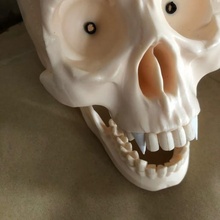 agostini Arthur presa arte engraçado ossos crânio vampiro Vampyr nosferatu 3d print model - Mito3D