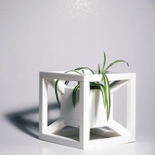 aion fioriera casa 3d print model - Mito3D