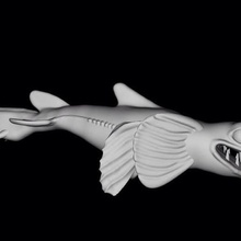 alan shark game shrark 3d print model - Mito3D