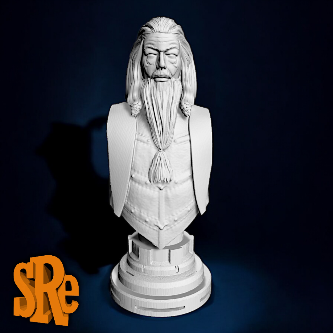 albus dumbledore büste harry töpfer kunst rum hermine alastor launisch fan art voldemort ron weasley snape draco malfoy 3D print model - Mito3D