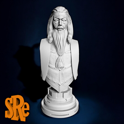 albus dumbledore büste harry töpfer kunst rum hermine alastor launisch fan art voldemort ron weasley snape draco malfoy 3d print model - Mito3D