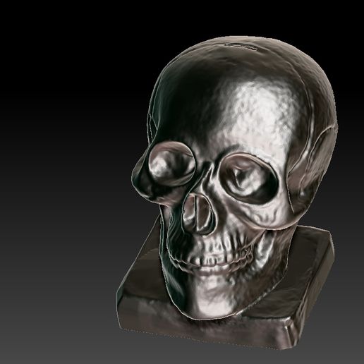 alcancia cráneo 3D print model - Mito3D